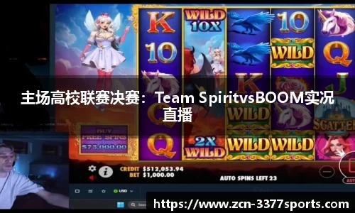 主场高校联赛决赛：Team SpiritvsBOOM实况直播