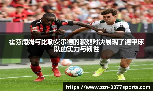 3377体育APP